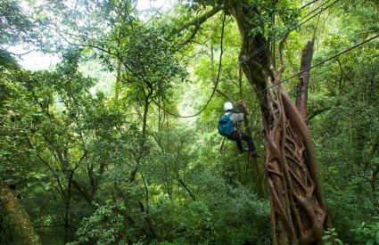 Our Treetop canopy tour experience on the Garden Route