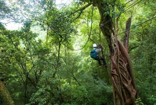 Our Treetop canopy tour experience on the Garden Route