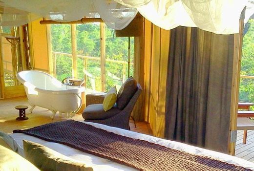 Elephant Camp - Elevated Tented Suites