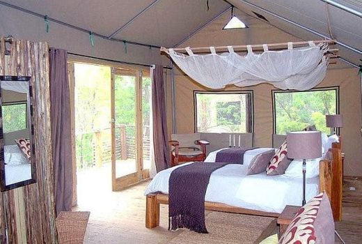 Elephant Camp - Elevated Treehouse