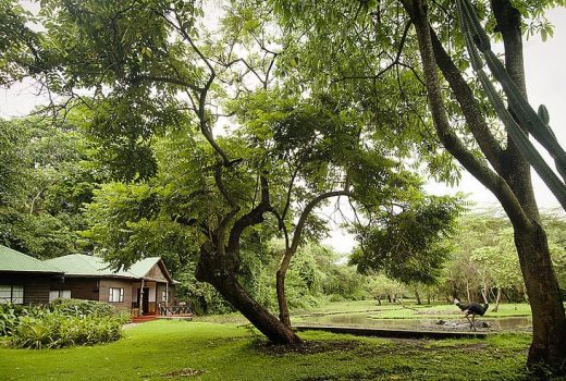 Mount Meru Game Lodge