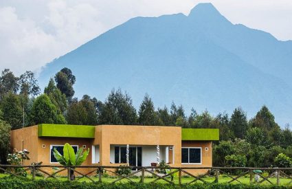 Mountain Gorilla View Lodge