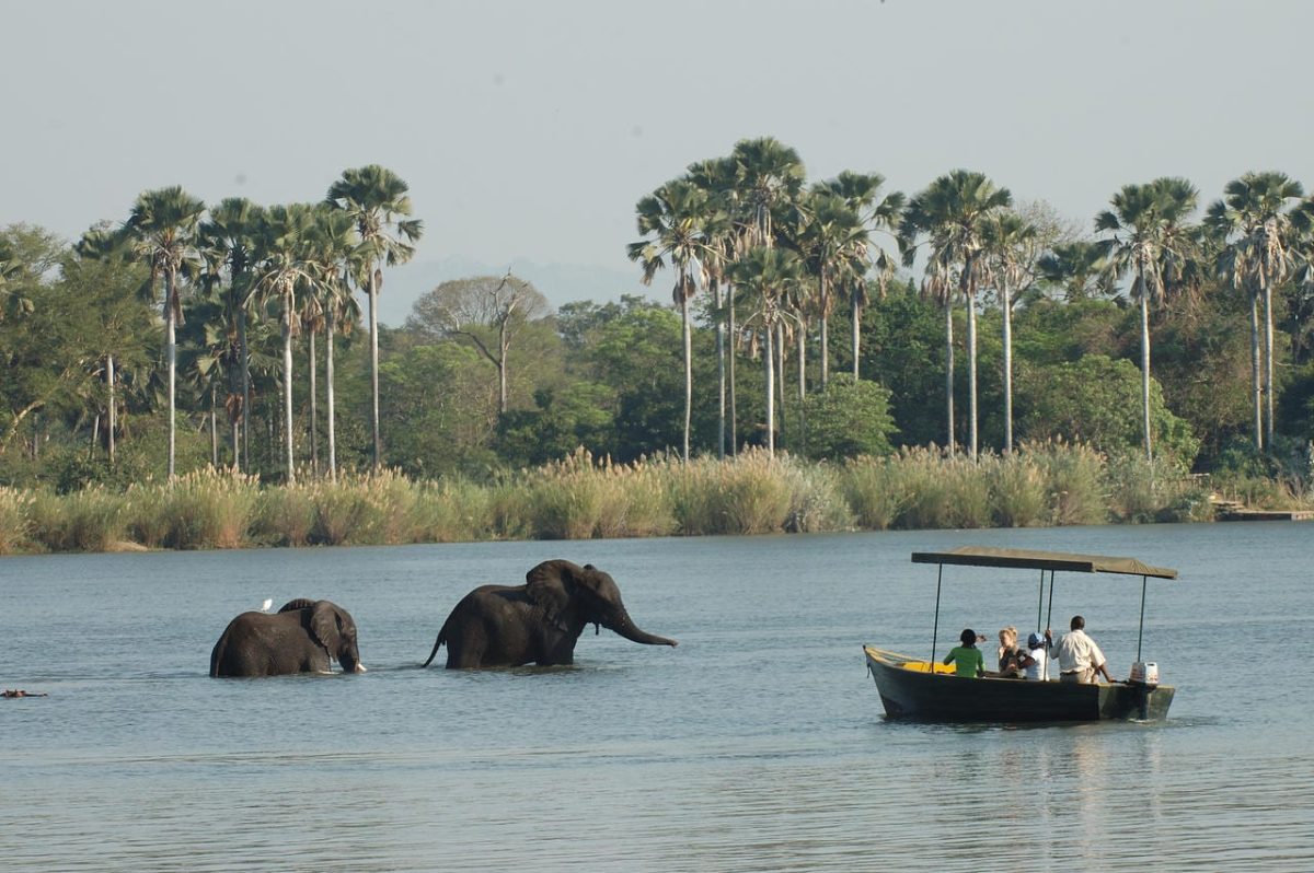 Cedarberg Travel | Mvuu Lodge