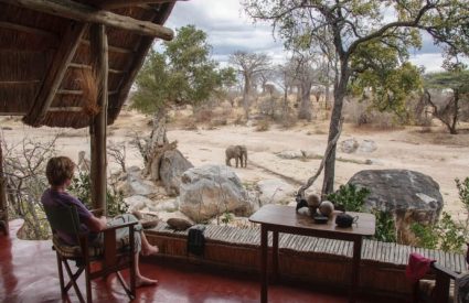 Mwagusi Safari Camp