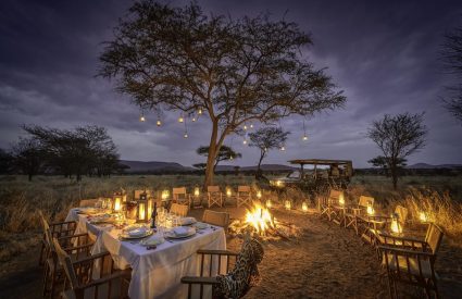 Nimali Central Serengeti