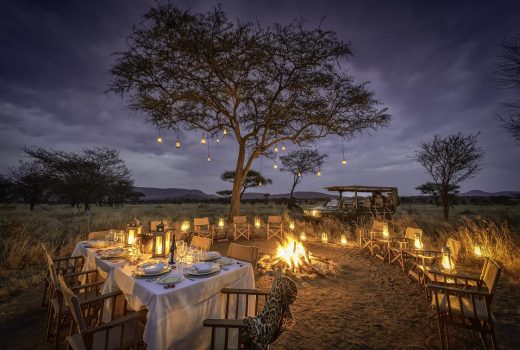 Nimali Central Serengeti