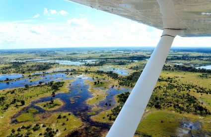 Fly Around Botswana Safari Offer