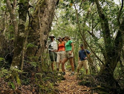 Cape & Garden Route Walking Tour