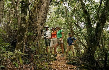 Cape & Garden Route Walking Tour