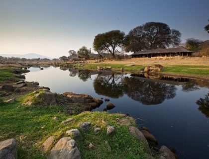 Foxes Wilderness & Wildlife