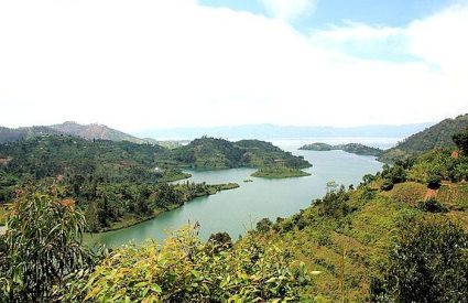 Mila’s photo blog of gorilla-tracking in Rwanda