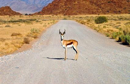 Cape to Namibia Self-drive
