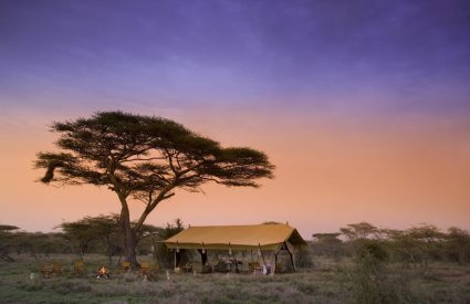 Dreaming of the East? 5 romantic safari lodges in East Africa for the perfect getaway