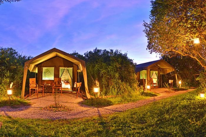 Shamwari-Explorer-camp