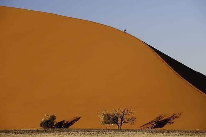 Cedarberg Travel | Best of Namibia Fly-in Safari
