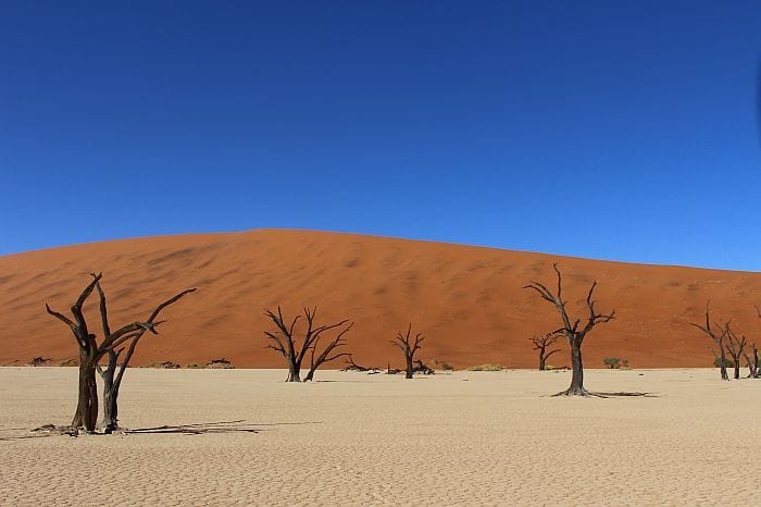 Big Daddy at Sossusvlei 