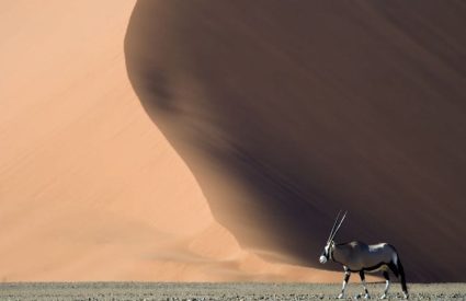 Namibia Untold Story Small Group Safari