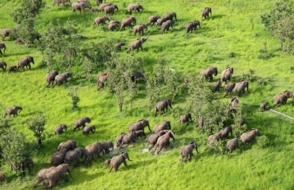 Rivers & Rainbow Safari in South Luangwa