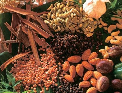 Zanzibar Spice Farm Tour