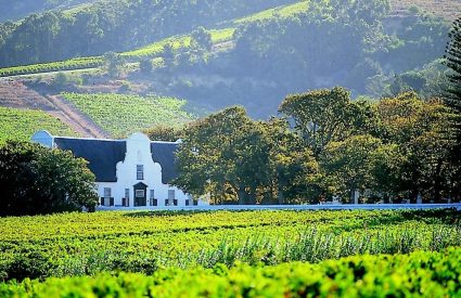 Fancy a setting as good as the food? 6 of the best winelands restaurants with a view