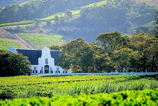 Fancy a setting as good as the food? 6 of the best winelands restaurants with a view