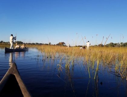 Okavango Delta Safari
