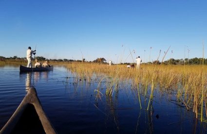 Okavango Delta Safari