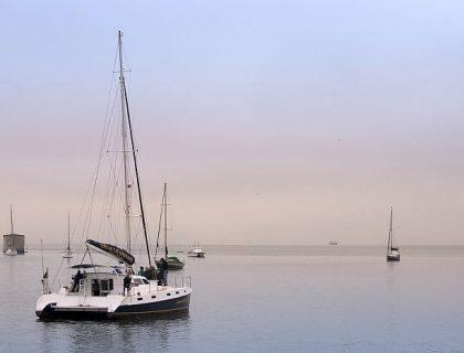 Boat cruises from Walvis Bay or Lüderitz