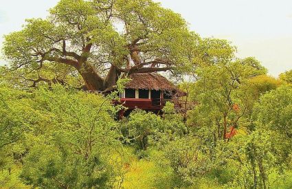 Tarangire Treetops