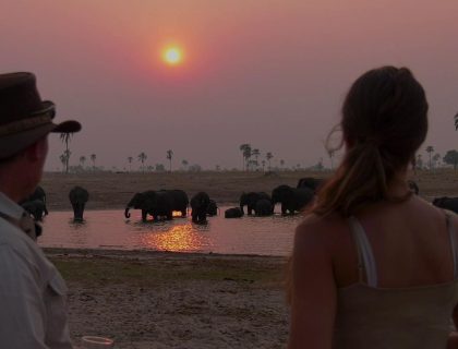 Zimbabwe Highlights Safari