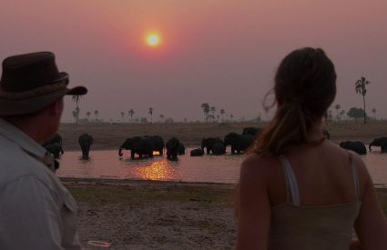 Zimbabwe Highlights Safari