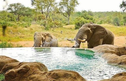 Motswari Game Lodge incl Geigers