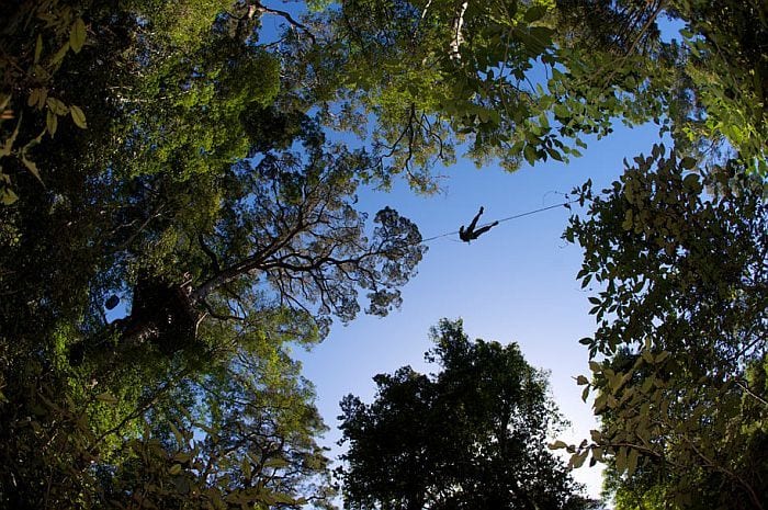Tsitsikamma Canopy tour, Garden Route