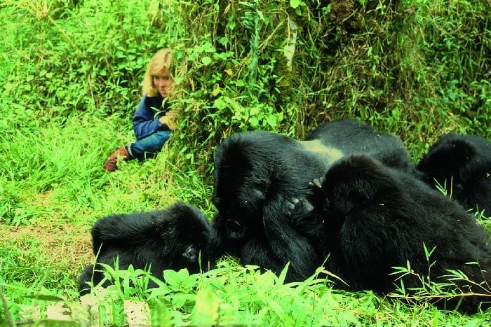 Cedarberg Travel | Remarkable Western Uganda