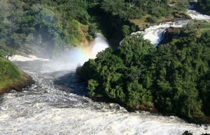 Luxury Uganda – Murchison Falls, Chimps & Gorillas