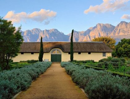 Olive, Vine & Vergelegen Private Wine Tour