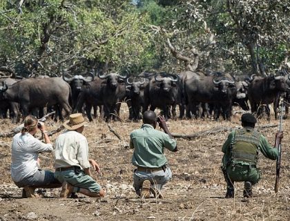 Zambia Mobile Walking Safari with Robin Pope Safaris