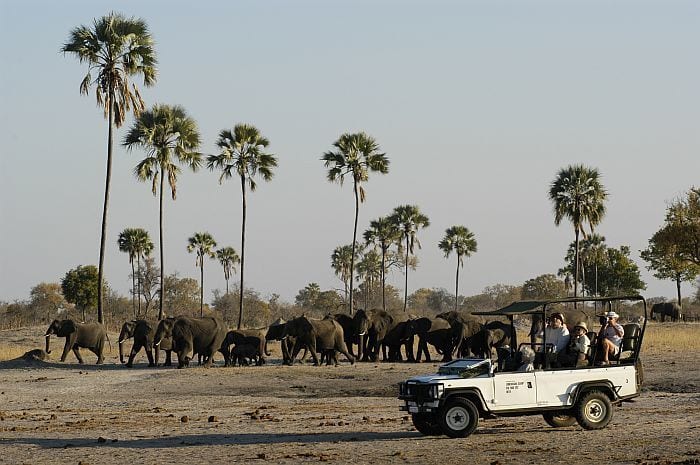 Cedarberg Travel | Hwange Explorer by Air