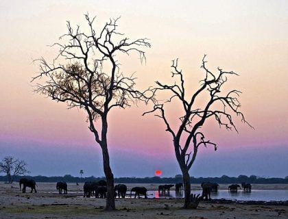 Relaxing Zimbabwe Safari Offer