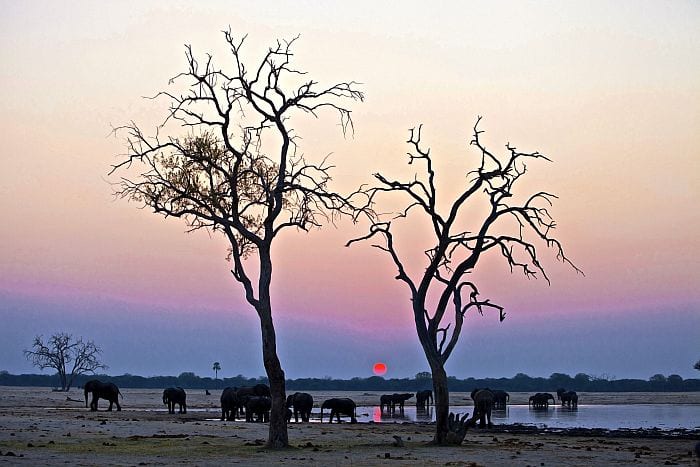 Relaxing Zimbabwe Safari Offer