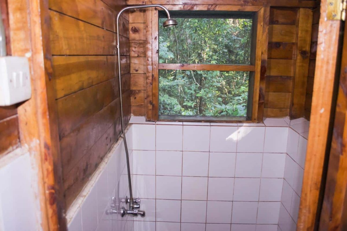 Cedarberg Travel | Budongo Eco Lodge