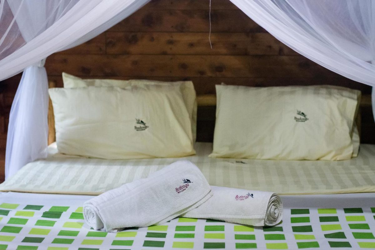 Cedarberg Travel | Budongo Eco Lodge