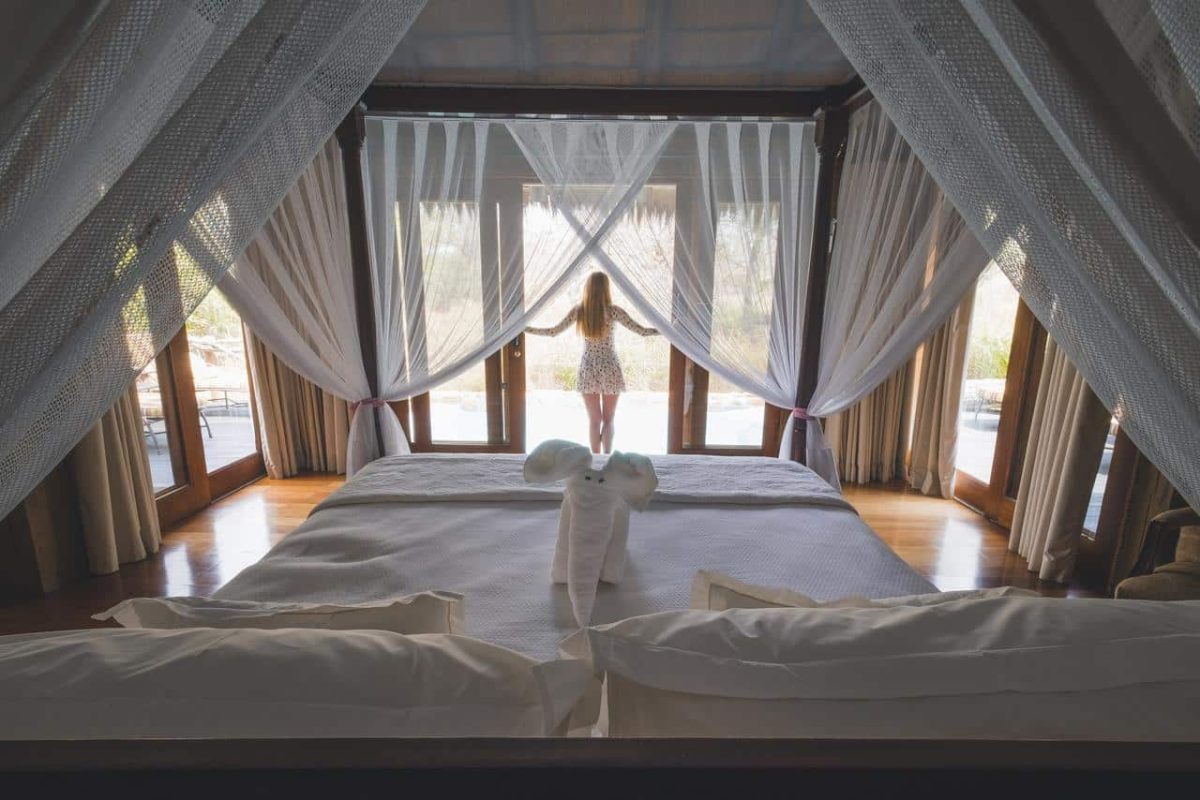 Cedarberg Travel | Jabulani Safari