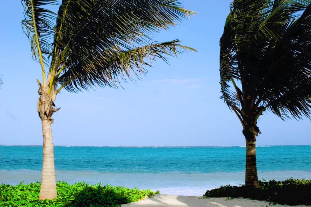 Cedarberg Travel | Romantic Zanzibar Explorer