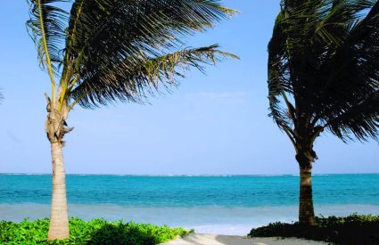 Romantic Zanzibar Explorer