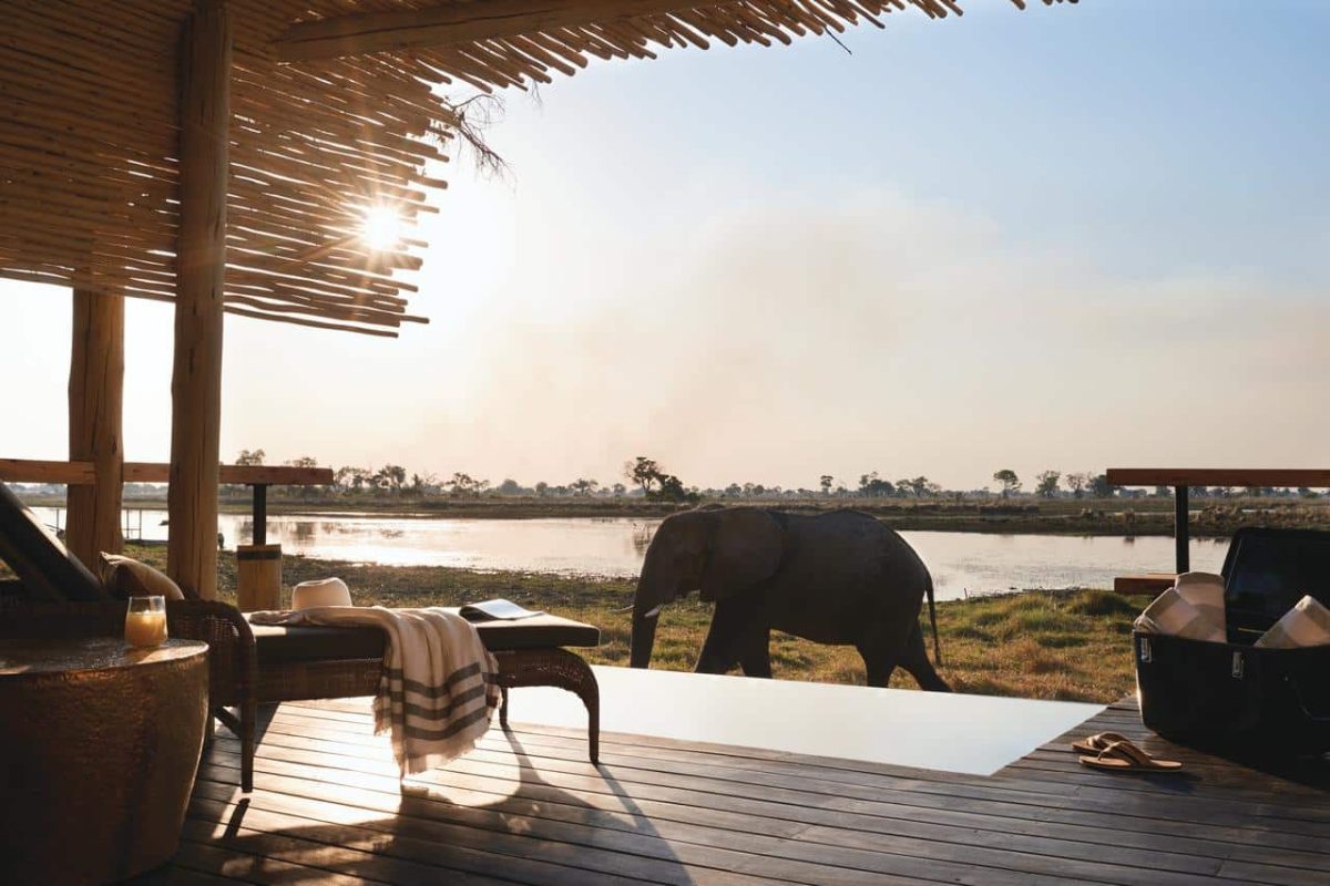 Cedarberg Travel | Belmond Eagle Island Lodge