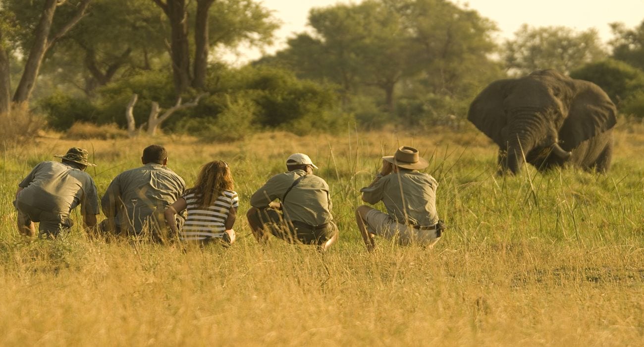 Zambia vs Botswana vs Zimbabwe comparison - walking safaris in Zimbabwe