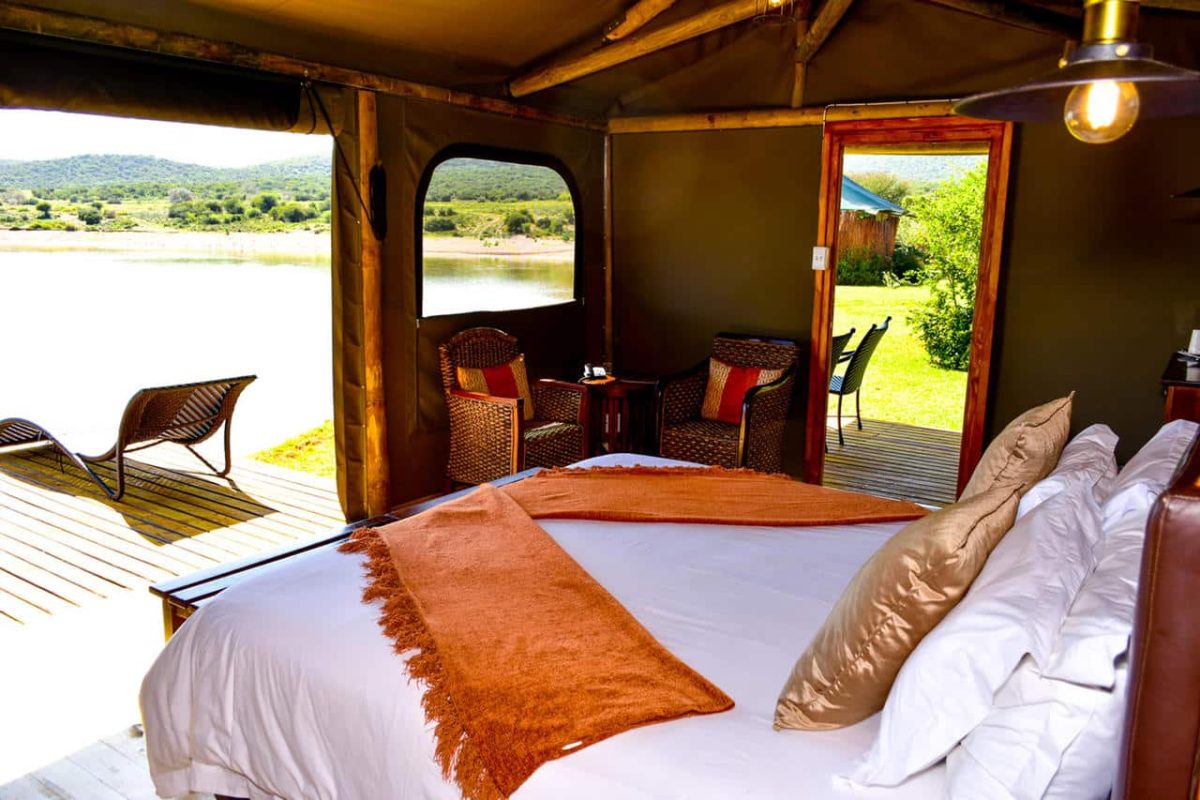 Cedarberg Travel | Buffelsdrift Game Lodge