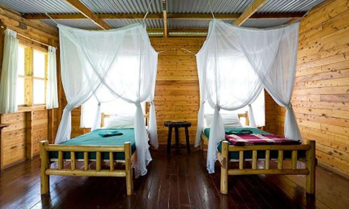 Cedarberg Travel | Budongo Eco Lodge