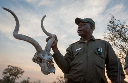 Safari Clothing in Africa – Top Tips for Autumn